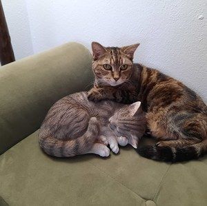 Meet your Posher, Penny